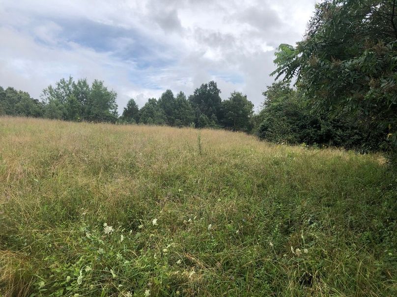 9f3bec5e-384e-4048-ada1-d152932d4830 1 105 c