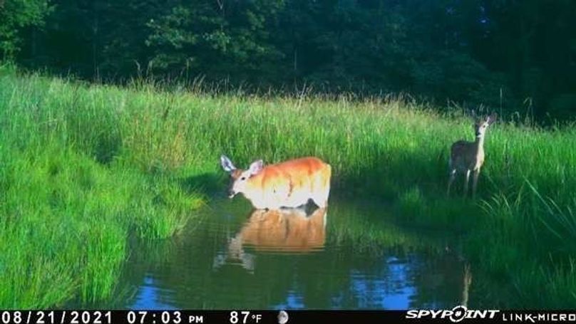 4f013628-a673-49b1-9d28-a3bb43d8df17 4 5005 c