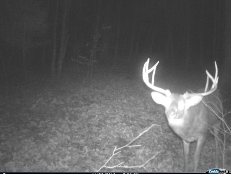 553b266c-6528-4823-8d9e-b1bcf49246b9 1 201 a