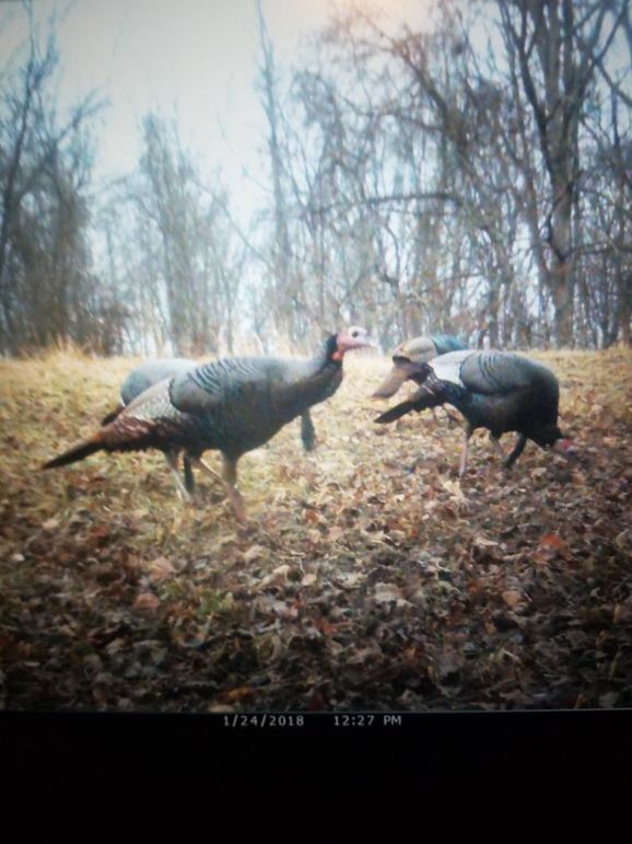 5d0baf6a-1d22-4d61-a890-9353d1ac84ca