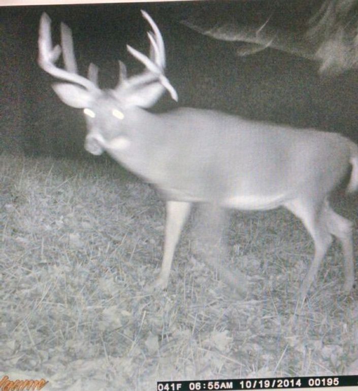 6091ca7f-294b-475a-a0ac-8e3ec5681773 1 201 a