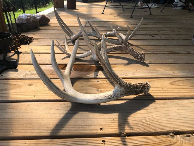 753df947-6412-45ab-9661-4480353e35f1 1 105 c