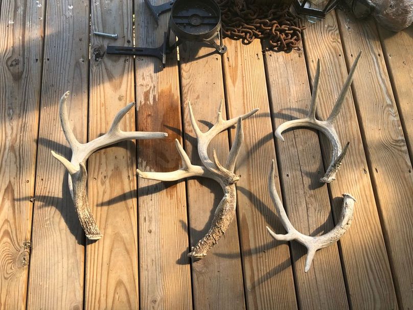 7cb2a3ea-90a4-4b69-956f-55ef50b7c598 1 105 c