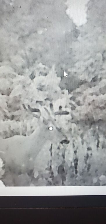 84fff3af-6c90-4c1f-b57c-349488265068