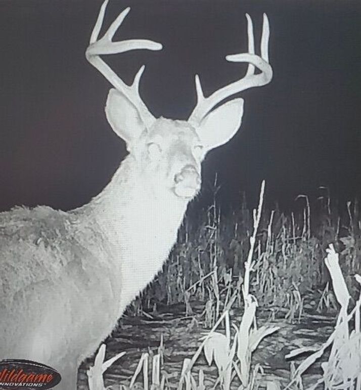 8db94346-3ddf-4482-83b3-660e025f9615 1 201 a