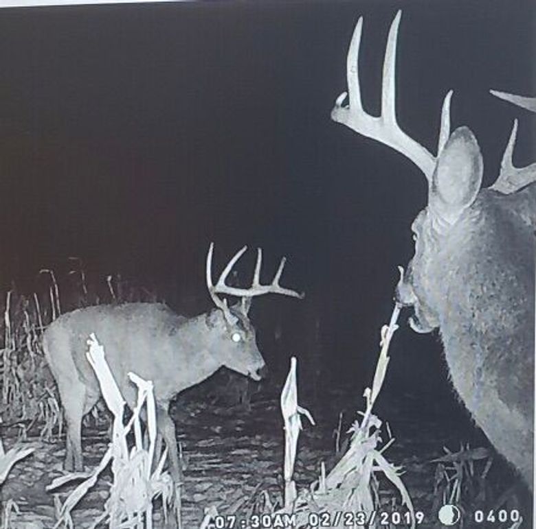 8e509c79-2176-4fbd-9500-9480a09f8020 1 201 a