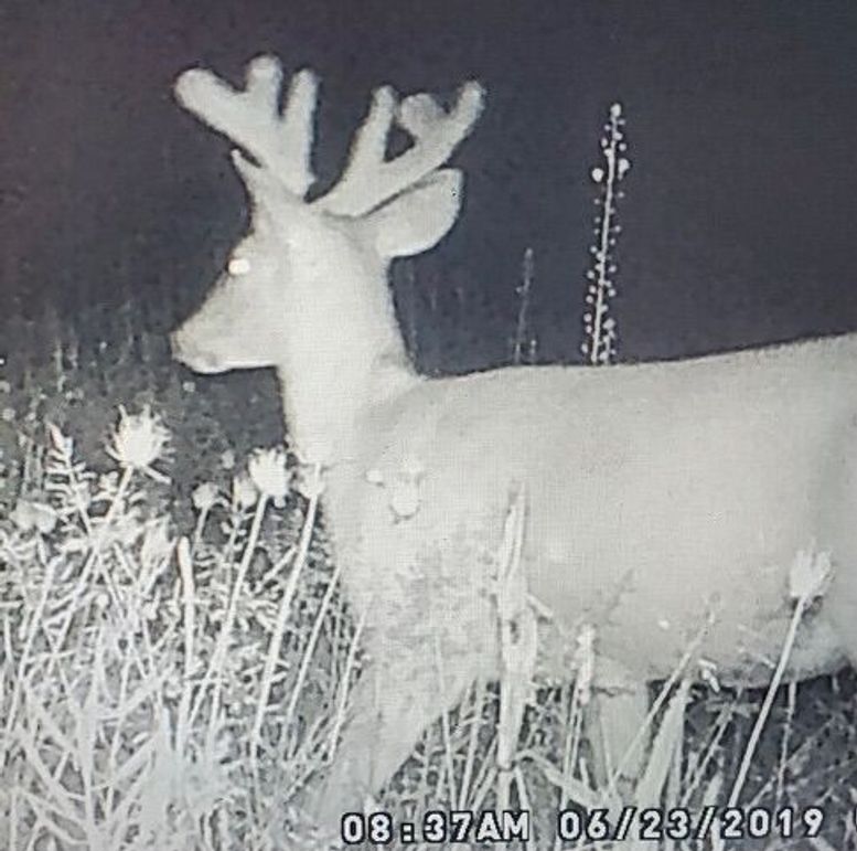 9645e407-5906-4e10-b02c-93ebd327b99b 1 201 a