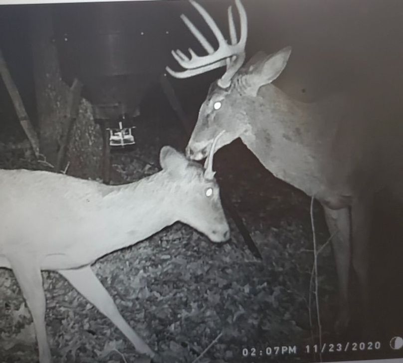 025ae416-6fb3-4b43-8229-0c087ffe9366 1 201 a