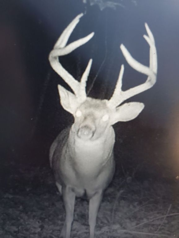 2dded0db-7862-417a-b09a-995ae14a974a