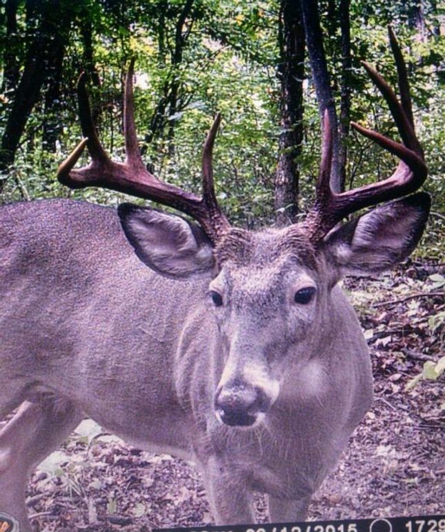 3add2336-4260-4f74-8dcd-48593d9f1b43 1 201 a