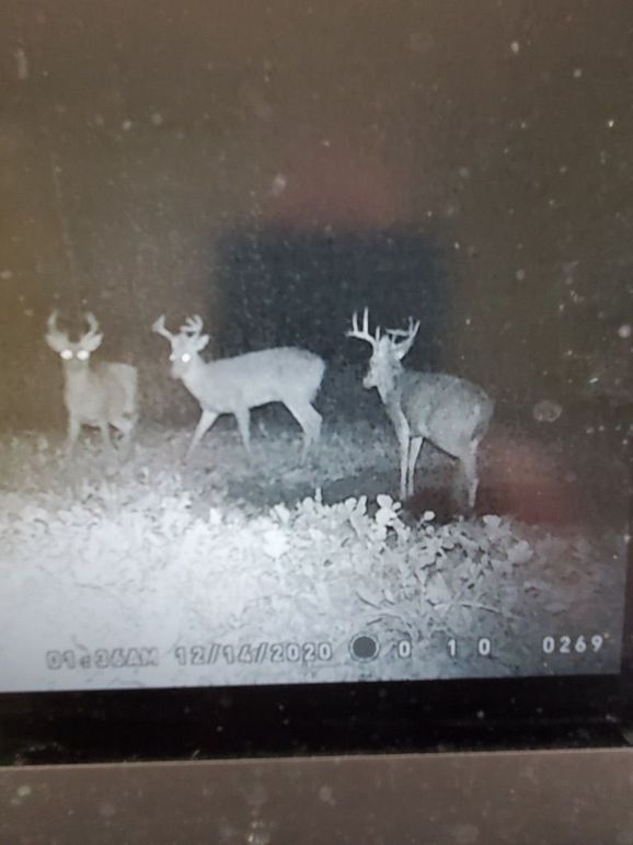 3b4696ac-305e-40ad-ba3d-1e44e75b7ab9 1 105 c