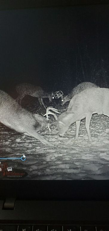 A1f4c4b5-e676-4d21-b5b1-1be69fbe8314