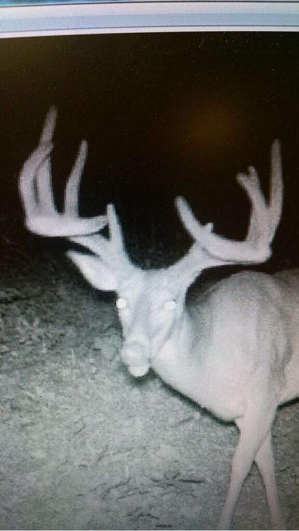 Ab507b50-1faf-478f-8aa6-3846d770a099