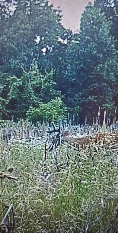 B65ce1aa-9dcf-49fd-af6f-e96c03a4c8f4 1 201 a