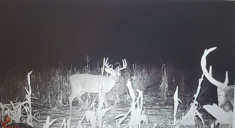 C33e5f00-9d9a-4c8f-b687-80878f80cc41 1 105 c