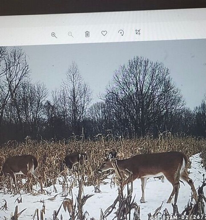 Cc2dabfd-a65d-4278-aab9-068f04185f6a 1 201 a