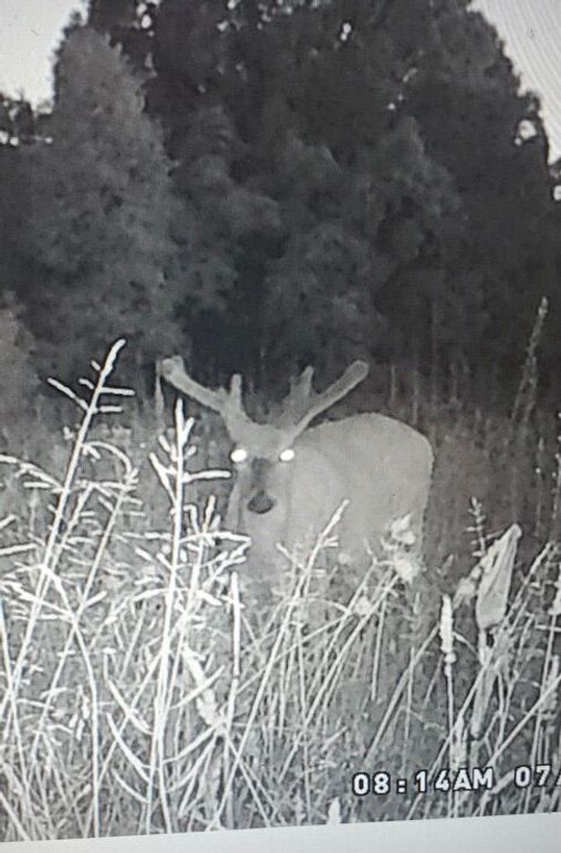 D3b9d7dd-892c-44d3-980a-93d5504fb586 1 201 a