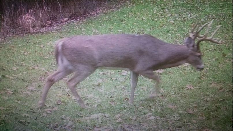 Da432199-d3db-4597-9bfd-5137b2258d54