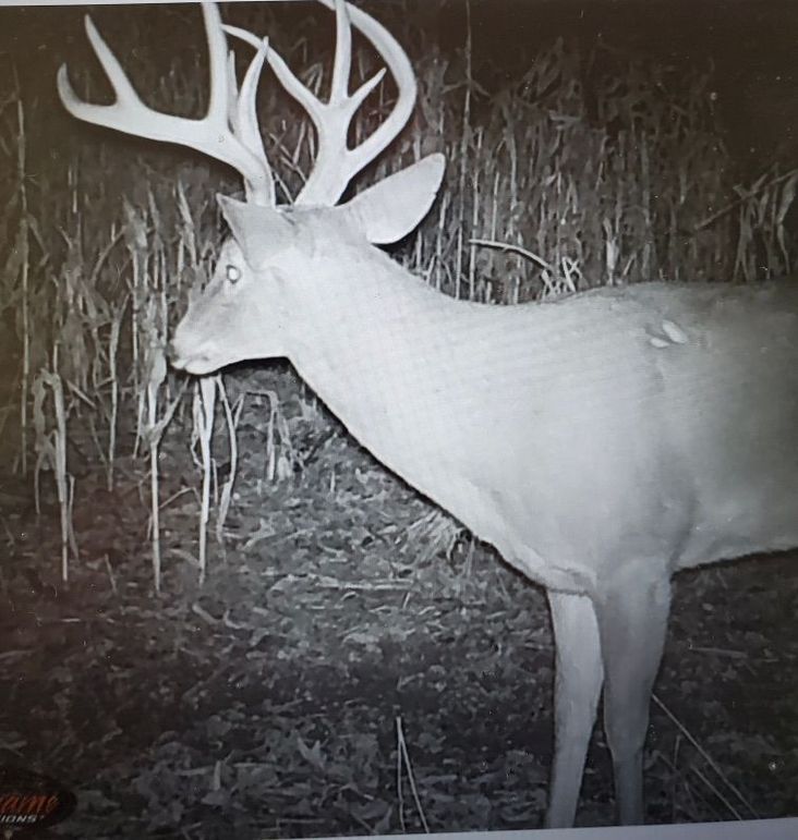 E24931a1-e6fe-4335-b154-67502c841c81 1 201 a