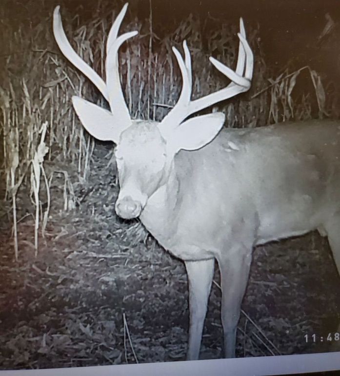 E51ace09-2a93-4e11-9db7-fe36a8596259 1 201 a