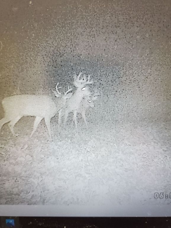 E81dd96f-9c0a-4a9b-8b31-24d1a490c1e3