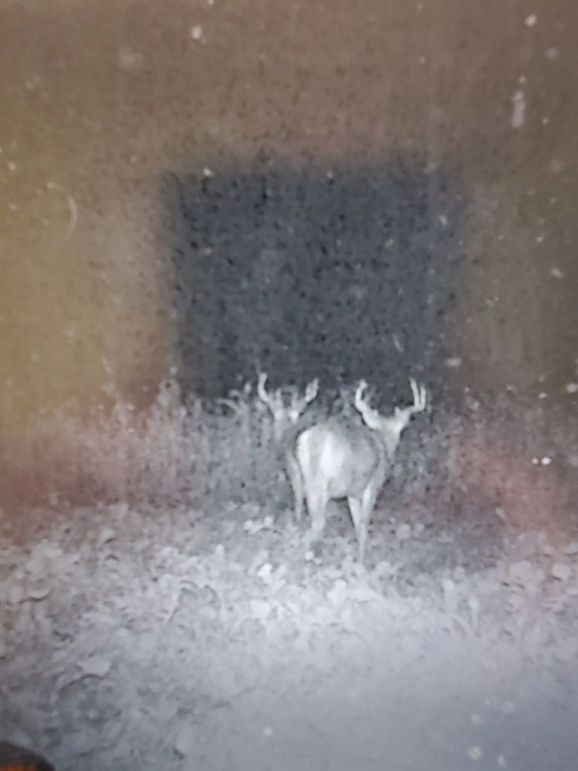 Ecd47193-c976-455f-b467-464fe772d793 1 105 c