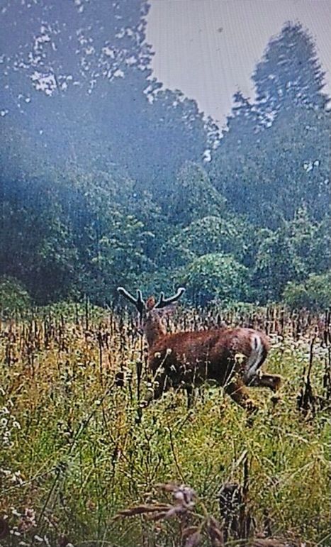 F3f21208-7014-472d-b03d-44e6cd0afff9 1 201 a