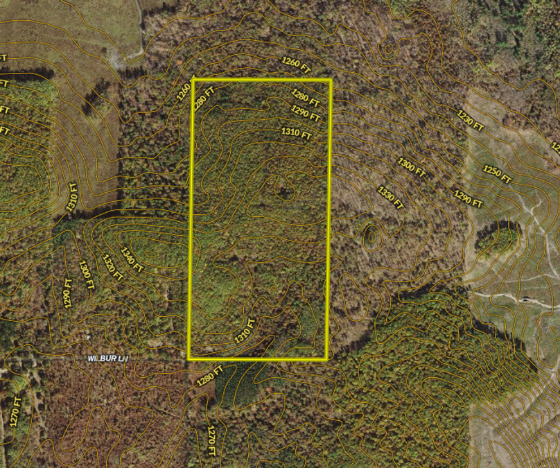 Screen shot 2021-08-31 at 10.02.39 am