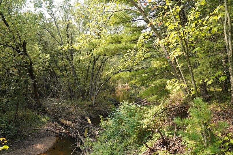 Chippewa52.86gilles-016