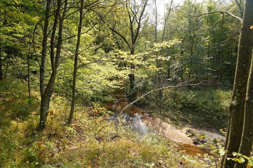 Chippewa52.86gilles-017