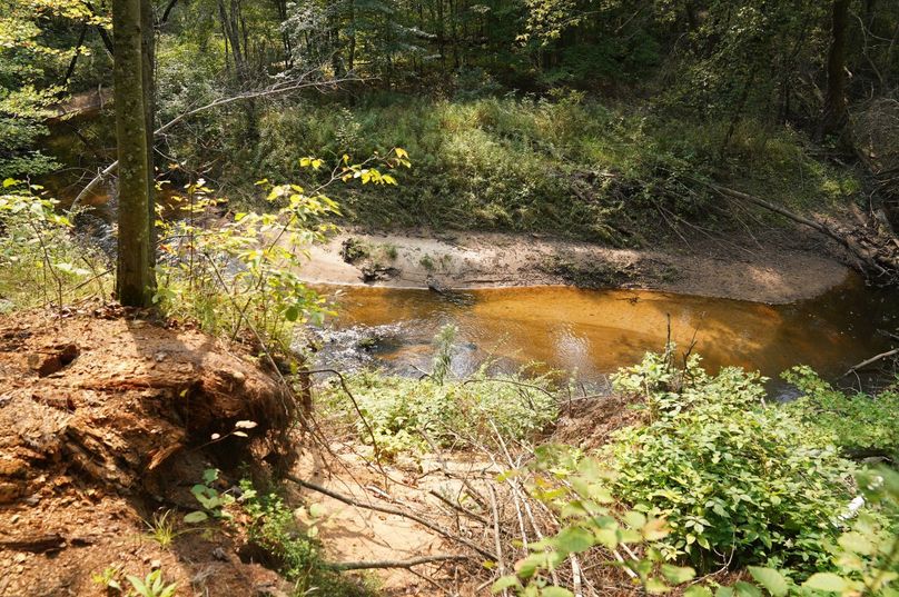 Chippewa52.86gilles-018