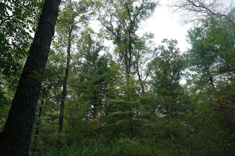 Chippewa52.86gilles-011