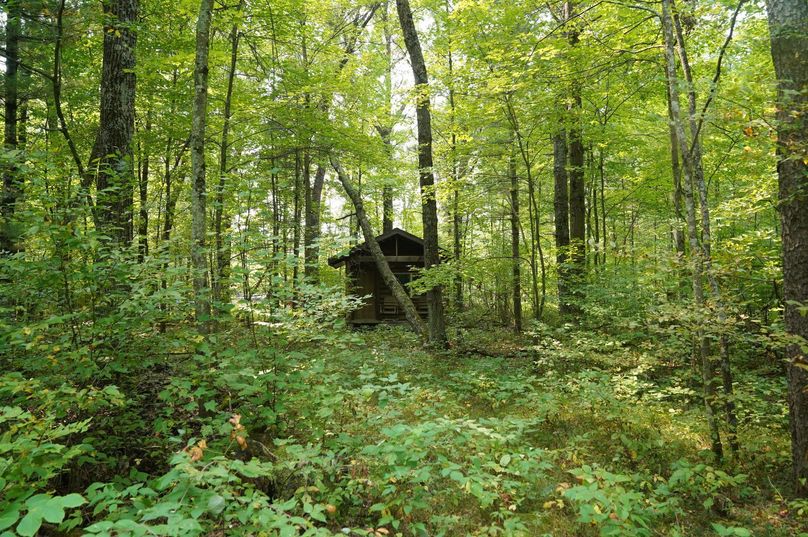 Chippewa52.86gilles-012