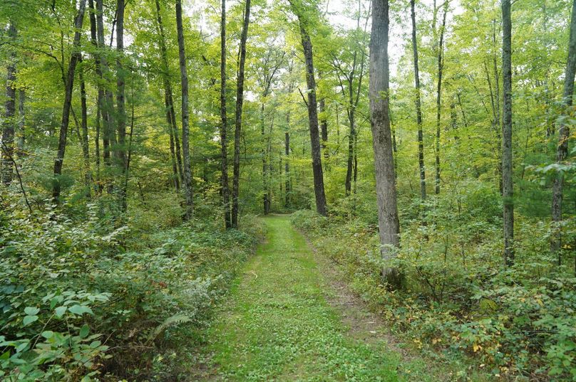 Chippewa52.86gilles-013