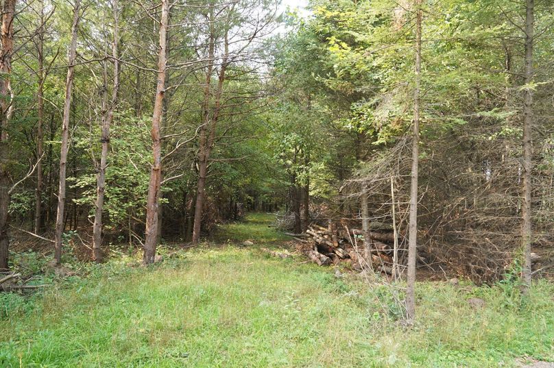 Chippewa52.86gilles-020