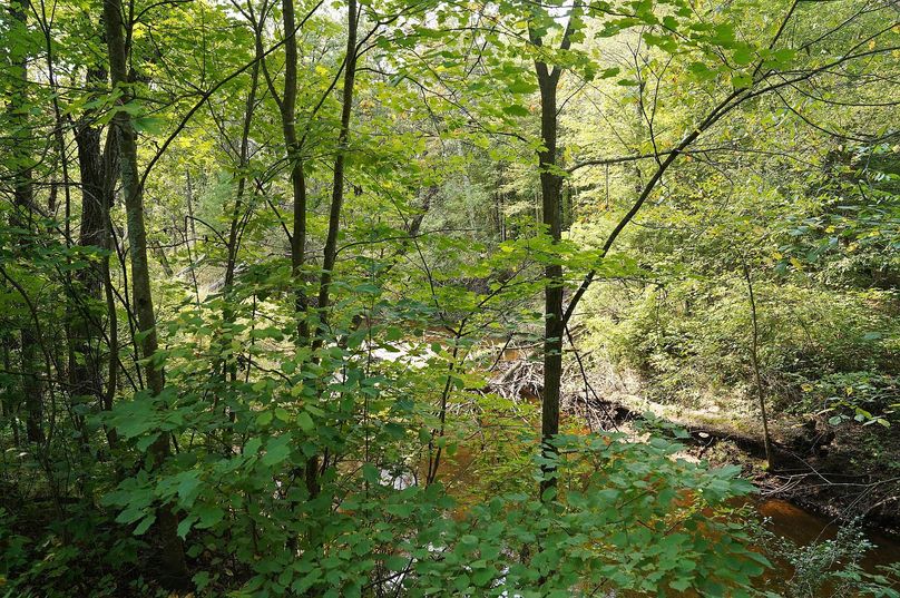 Chippewa52.86gilles-032