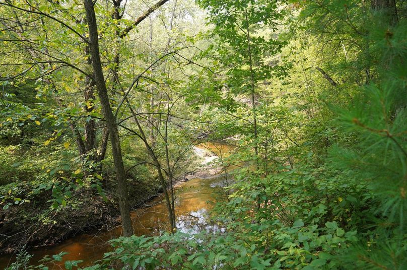 Chippewa52.86gilles-033