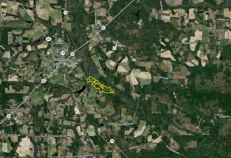 Pierce county 155.80 acres map2