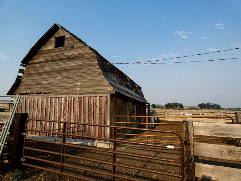 Backbarnandcattlerun