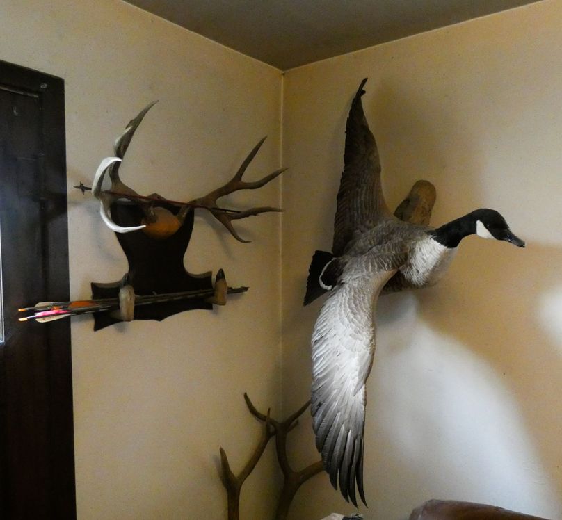 Goosemount