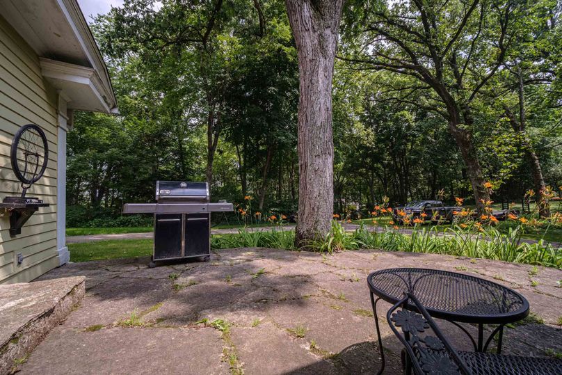 Bee tree farms 2mb (31 of 73)