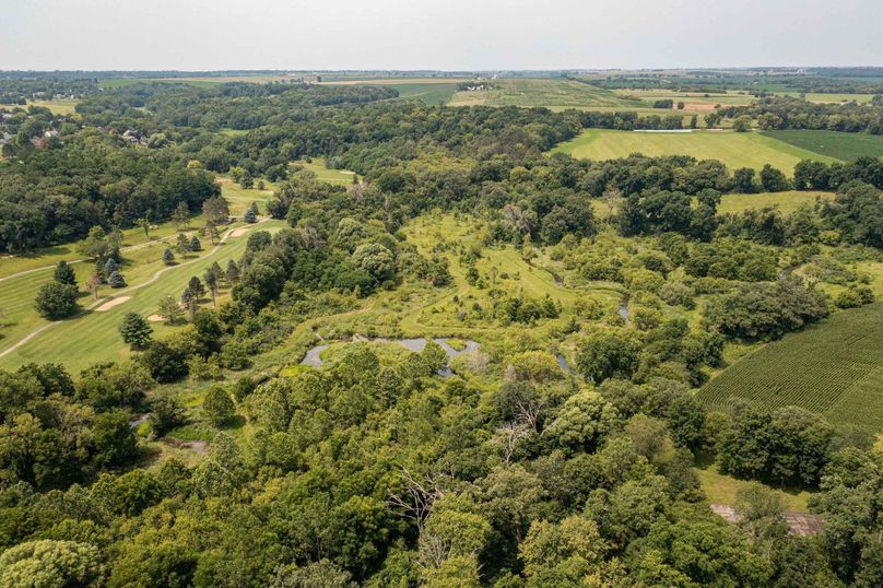 Bee tree farms 2mb (47 of 73)