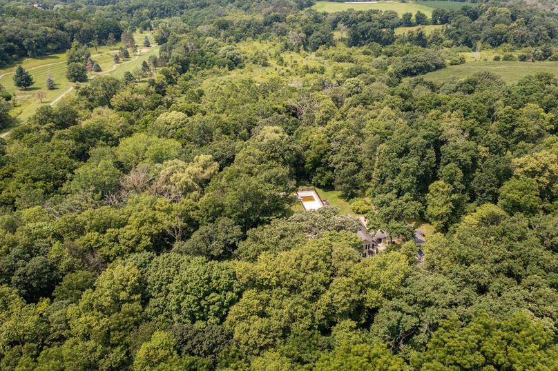 Bee tree farms 2mb (49 of 73)(1)