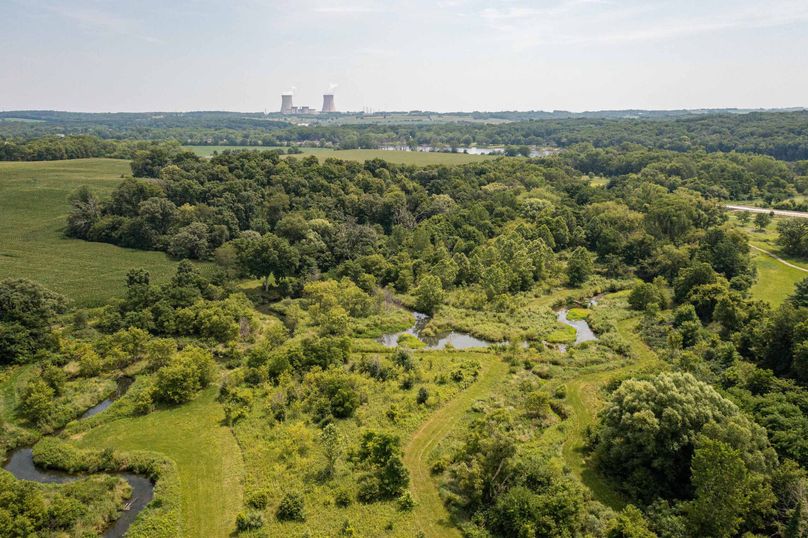 Bee tree farms 2mb (50 of 73)