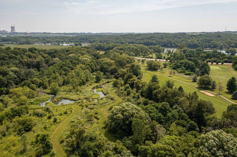 Bee tree farms 2mb (51 of 73)