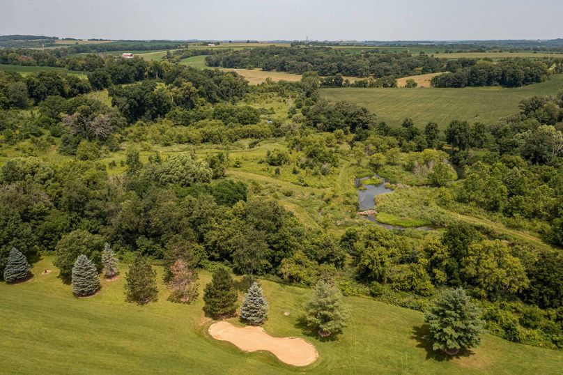 Bee tree farms 2mb (52 of 73)