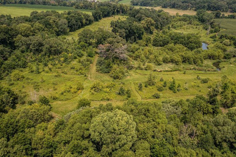 Bee tree farms 2mb (53 of 73)