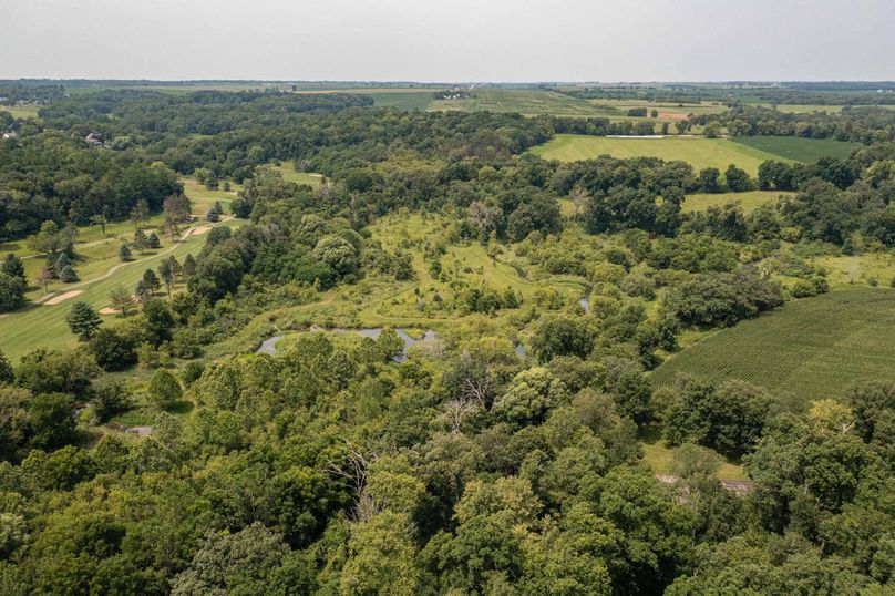 Bee tree farms 2mb (55 of 73)