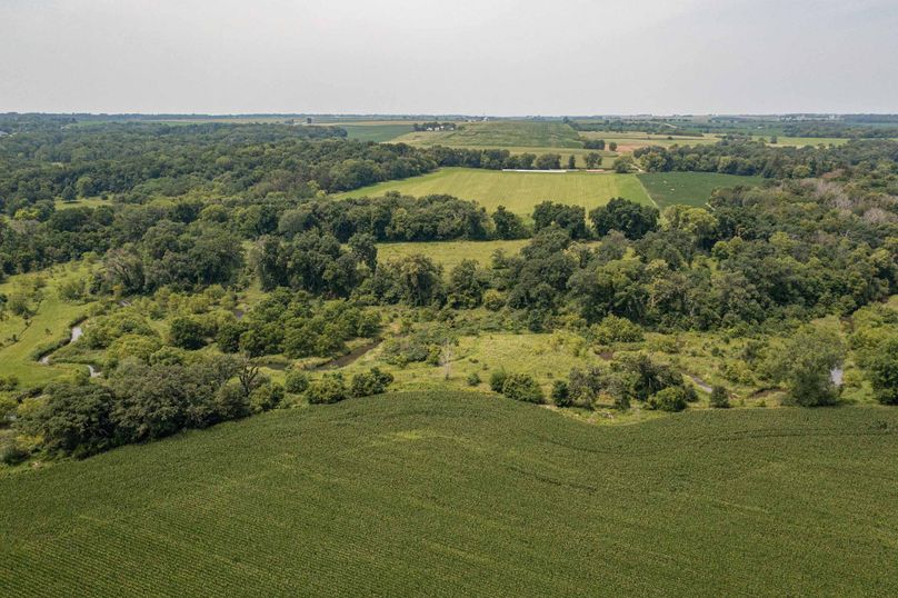 Bee tree farms 2mb (58 of 73)