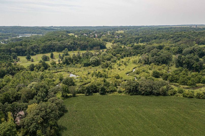 Bee tree farms 2mb (59 of 73)